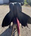 Selle Wintec 250