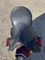 Selle Wintec 250