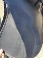 Selle Wintec 250