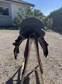 Selle Wintec 250