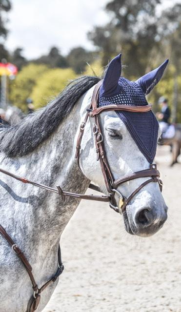 Bonnet Long Paddock Sports poney Marine