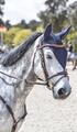 Bonnet Long Paddock Sports poney Marine