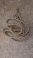 Rênes en corde Horse & Rope