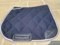 tapis horse pilot