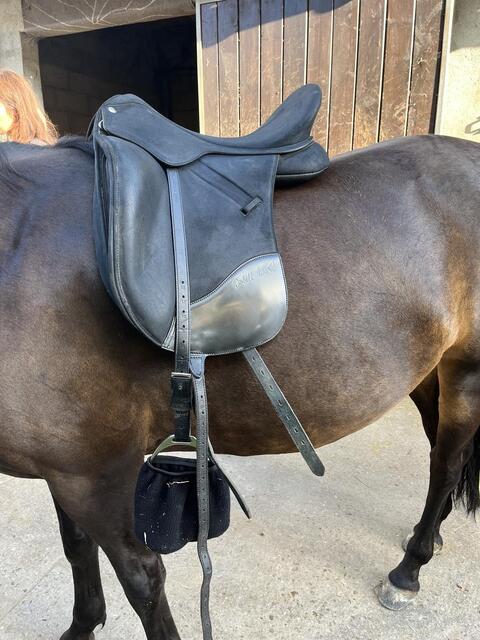 Selle Wintec Isabel Hart