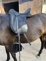 Selle Wintec Isabel Hart