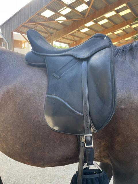 Selle Wintec Isabel Hart