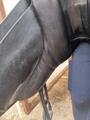 Selle Zaldi country 16"5