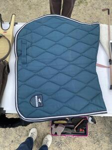 Tapis bleu canard
