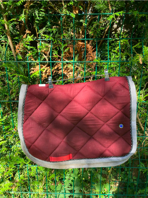 Tapis rouge Iqu'Idées