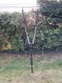 Collier de chasse Elastique Gris / Cuir Noir Stationata