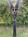 Collier de chasse Elastique Gris / Cuir Noir Stationata