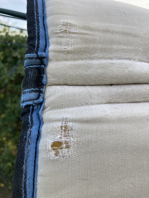 tapis de selle épais Bleu