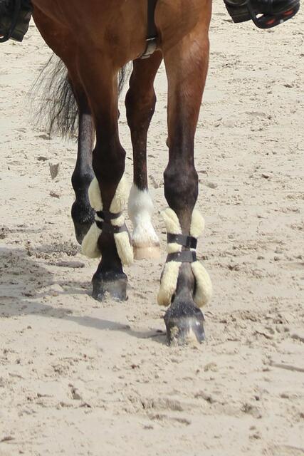 Guetre Norton xtr mouton