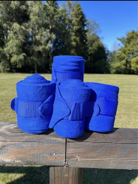 Bande de polo bleue