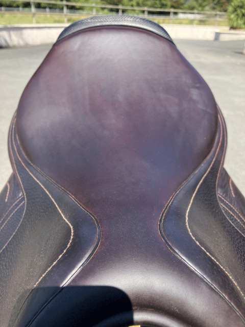 Selle CWD 2Gs taille 17,5 avec étrivières plates CWD et étriers