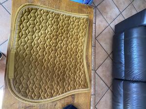 Tapis kentucky