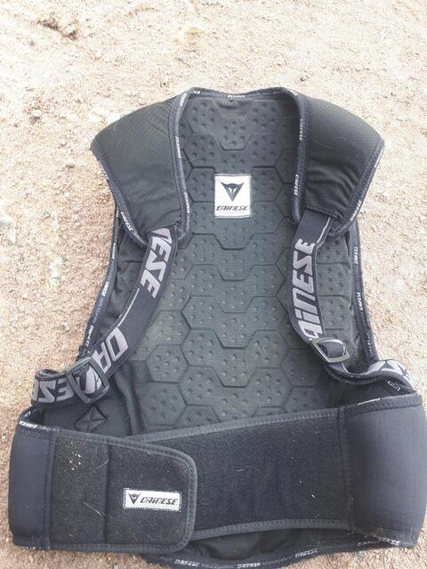 Dorsale Dainese L enfant