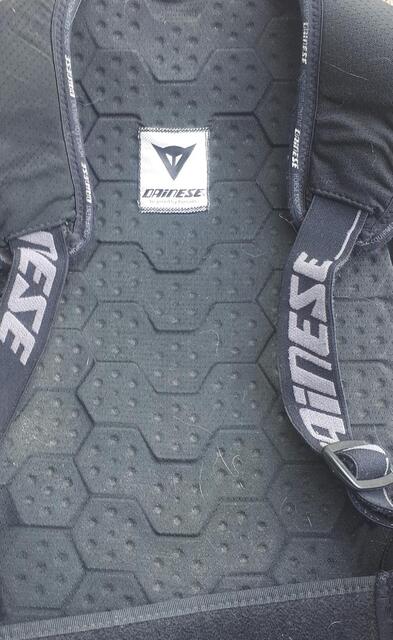 Dorsale Dainese L enfant
