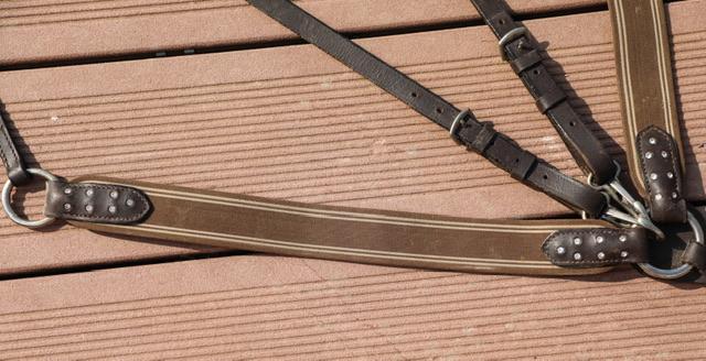 Collier de chasse avec strass