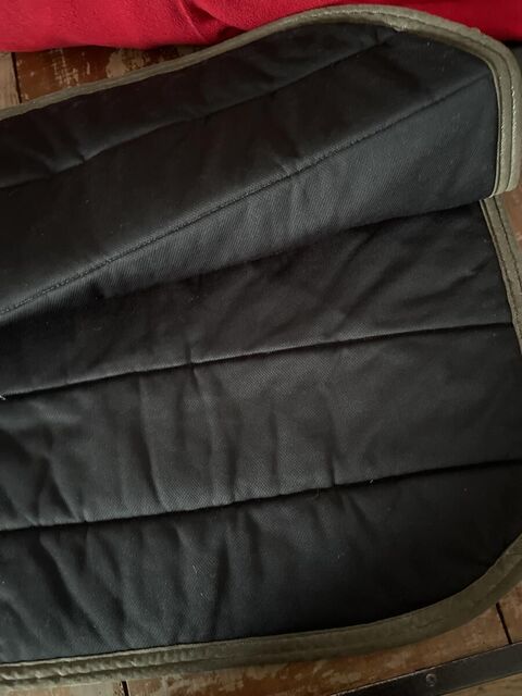 Tapis dressage