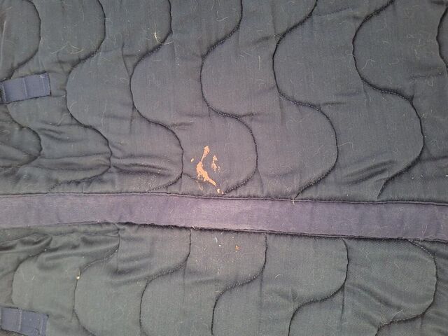 Tapis de selle bleu taille Cob