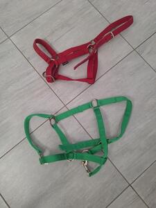 Lot de 2 licols taille full