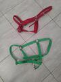 Lot de 2 licols taille full