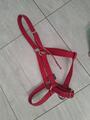Lot de 2 licols taille full