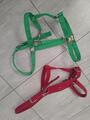 Lot de 2 licols taille full