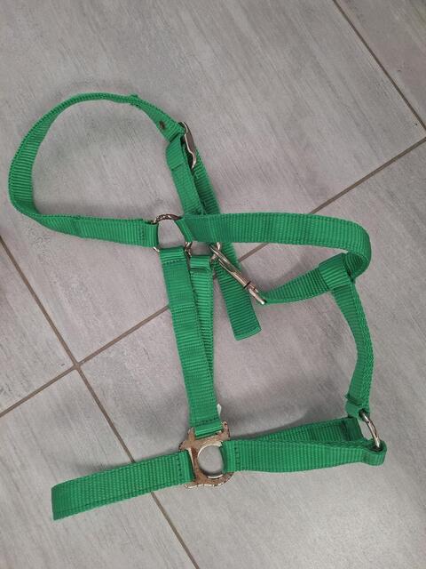 Lot de 2 licols taille full