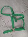 Lot de 2 licols taille full