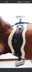 Sangle anatomique courte mouton