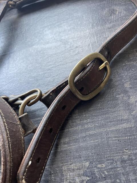 Licol cheval cuir