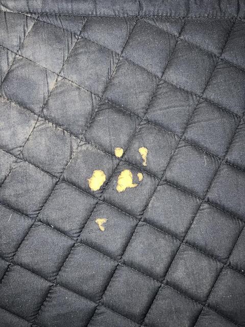 Tapis mixte