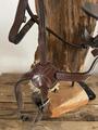 Filet cheval
