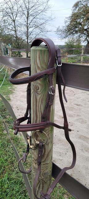 Filer Antarès taille 1