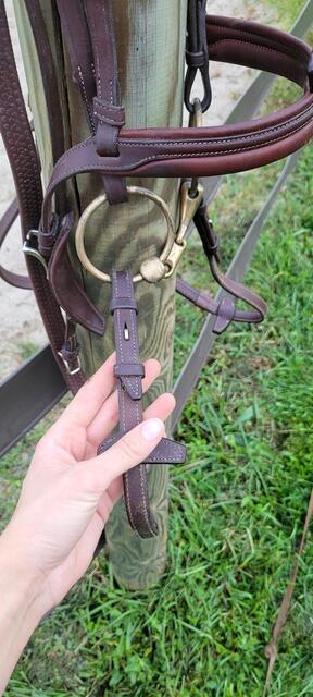 Filer Antarès taille 1
