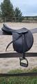 Selle bates caprilli air