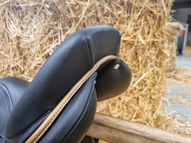 Selle CSO Antarès 17,5