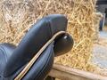 Selle CSO Antarès 17,5