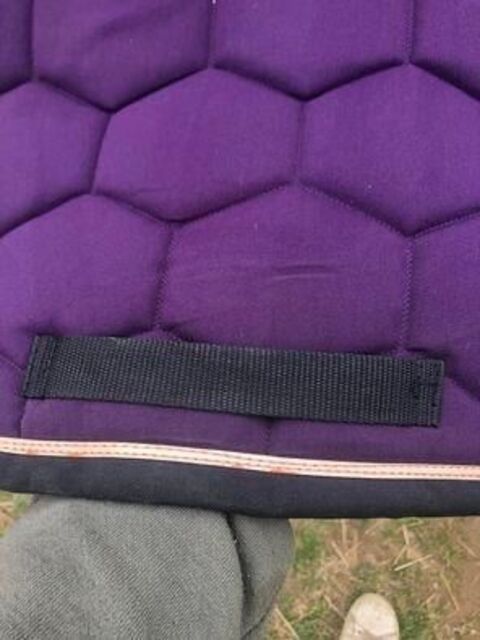 Tapis dressage equiidee