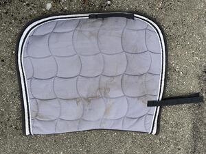 Tapis dressage