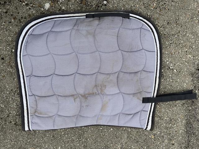 Tapis dressage