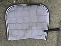 Tapis dressage