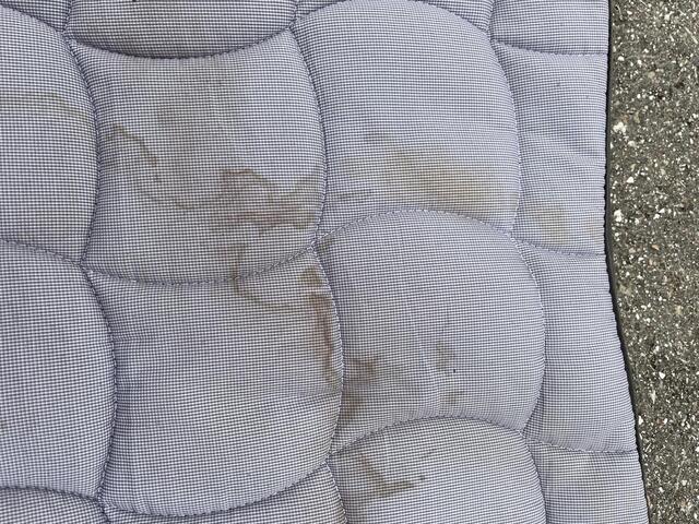 Tapis dressage