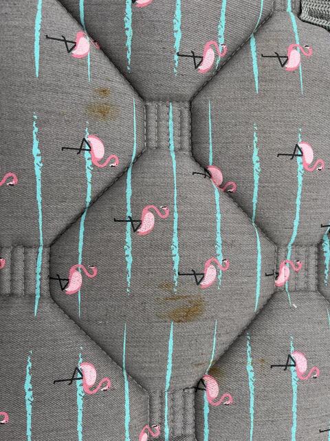 Tapis de dressage