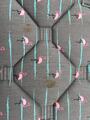 Tapis de dressage