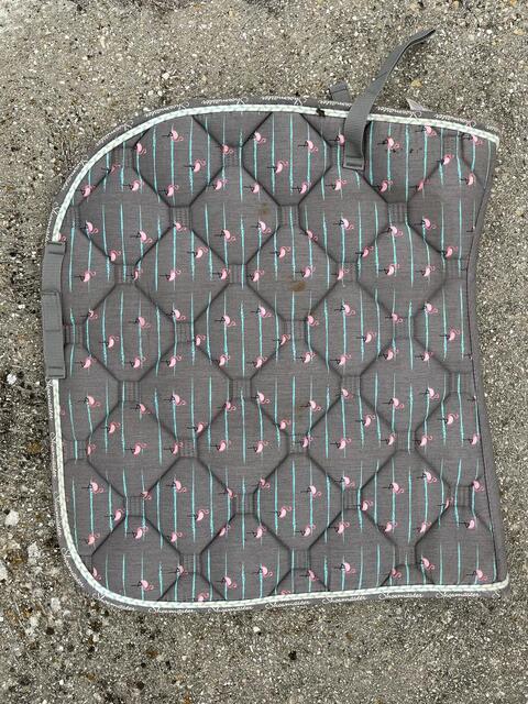 Tapis de dressage
