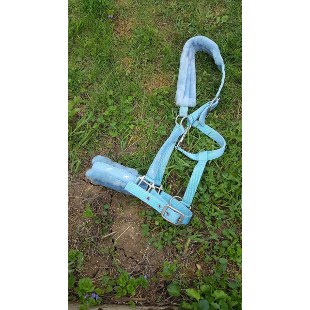 Licol taille cheval
